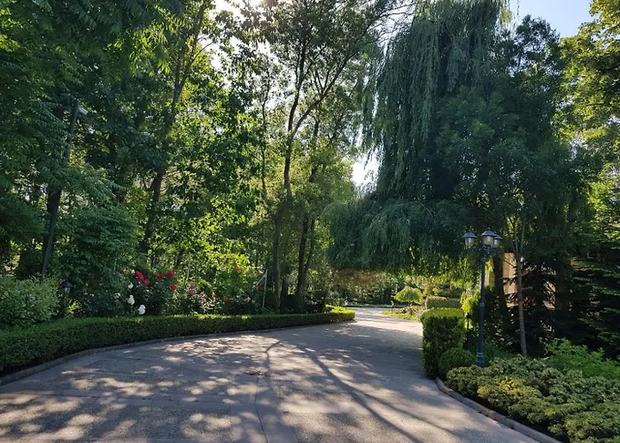 Bogdanov Лозенец