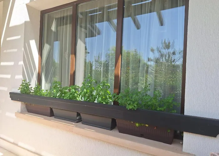 Bogdanov Apartamento